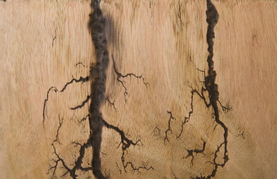 Lightning Bowl, Mango Wood by PHILLIPS COLLECTION