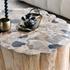 Norwest Petrified Wood Coffee Table Natural by Classic Home