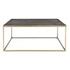 Trebon Coffee Table by Uttermost