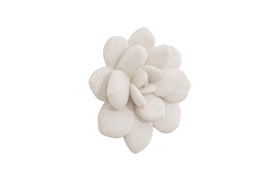 Laui Succulent Wall Art, White Stone by PHILLIPS COLLECTION