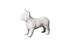 French Bulldog, Gel Coat White by PHILLIPS COLLECTION