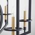 Oxalis Chandelier | Noir by Cyan Design