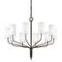 Juniper Chandelier by Troy