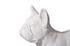 French Bulldog, Gel Coat White by PHILLIPS COLLECTION