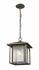 Aspen 1 Light Outdoor in Oil Rubbed Bronze Finish by Z-Lite