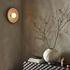 Organic Ceramic Sconce in Light Sand by FOUR HANDS