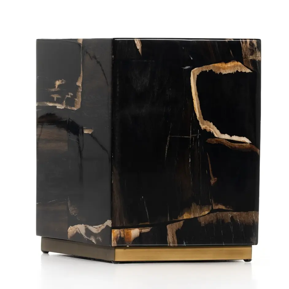 Shep End Table In Polished Petrified Wood by FOUR HANDS