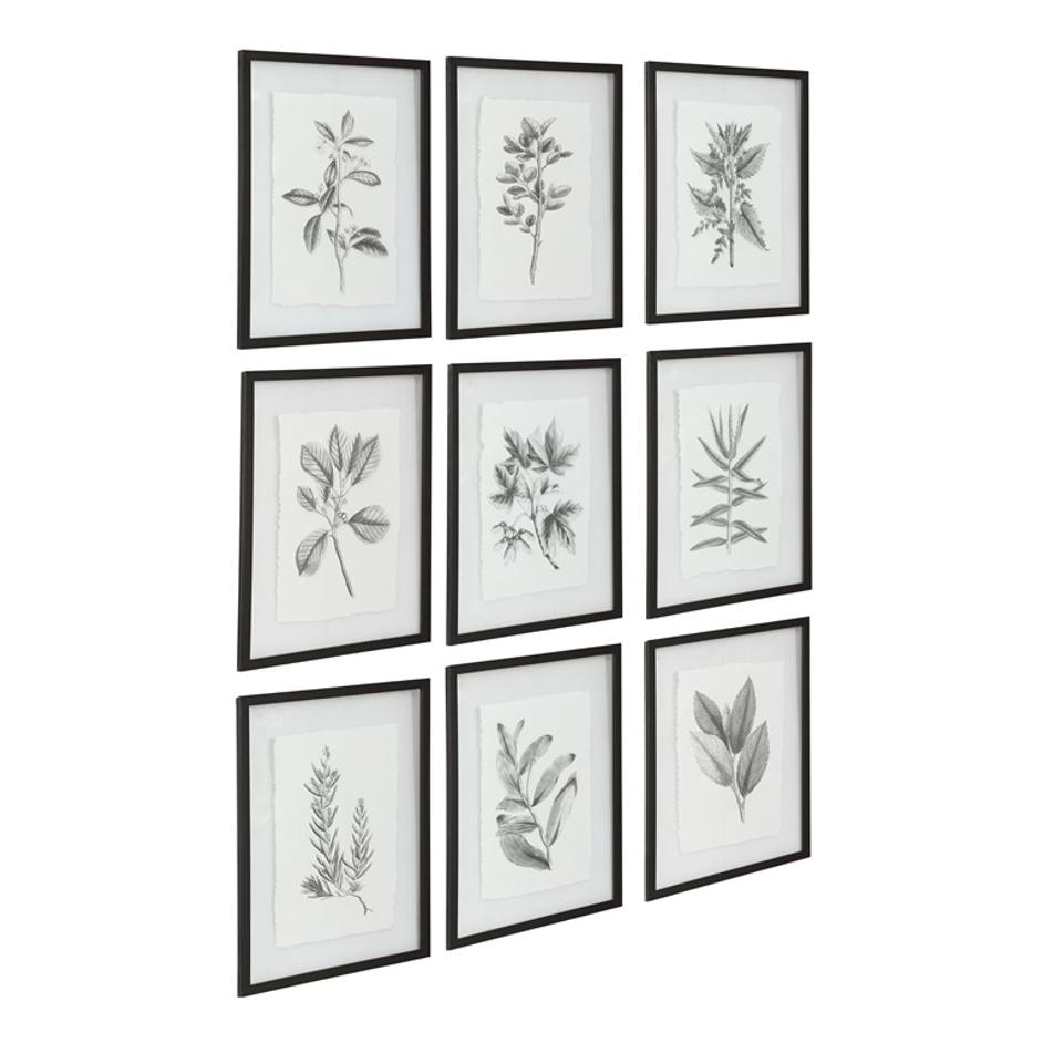 Farmhouse Florals Framed Prints, S/9 by Uttermost