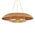 OAKLYN Chandelier by Hudson Valley