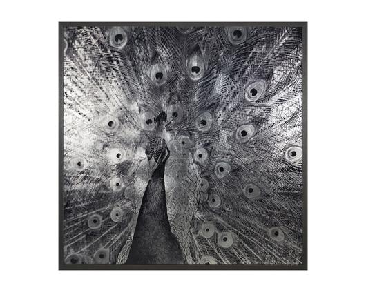 Courtship - 48" X 48" - Charcoal Frame by Sunpan