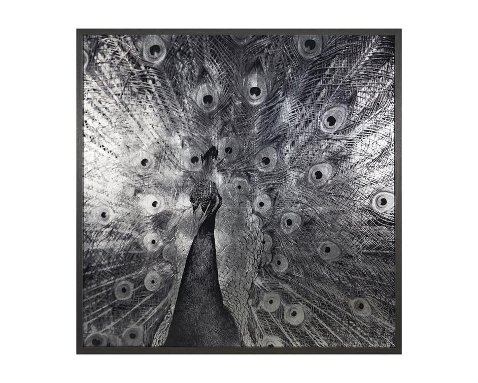 Courtship - 48" X 48" - Charcoal Frame by Sunpan