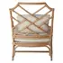 Kara Rattan Accent Arm Chair In Canary Brown  by New Pacific Direct