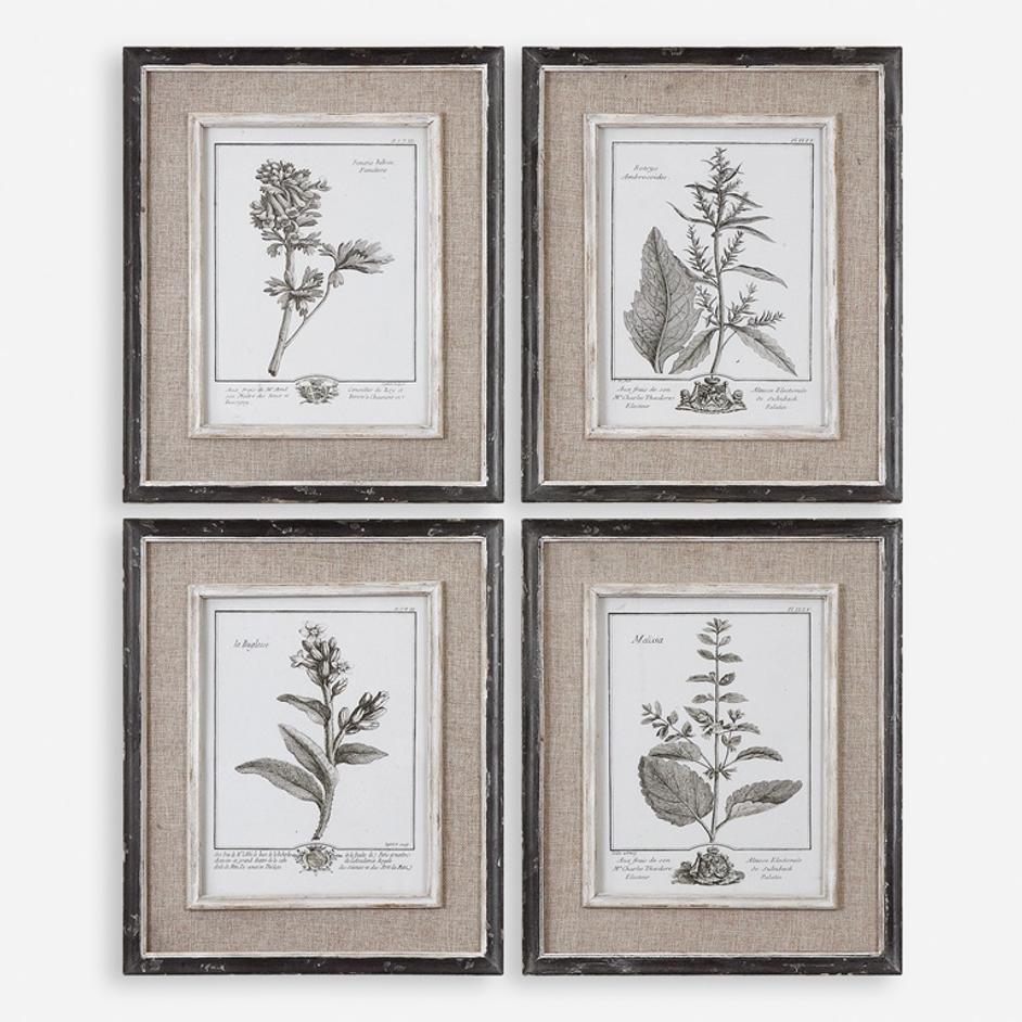 Casual Grey Study Framed Art Set/4 by Uttermost