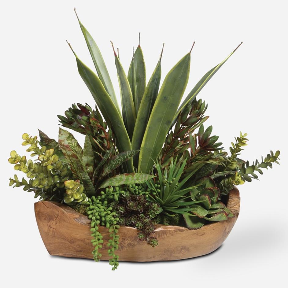 Salar Succulents In Teak Bowl by Uttermost