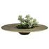 Magen #1 Bowl - Bronze in Bronze by Cyan Design