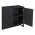 SIERRA 2 DOOR CABINET BLACK by Moes Home