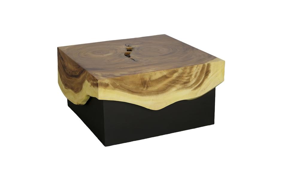 Overflow Coffee Table, Natural, Iron by Phillips Collection