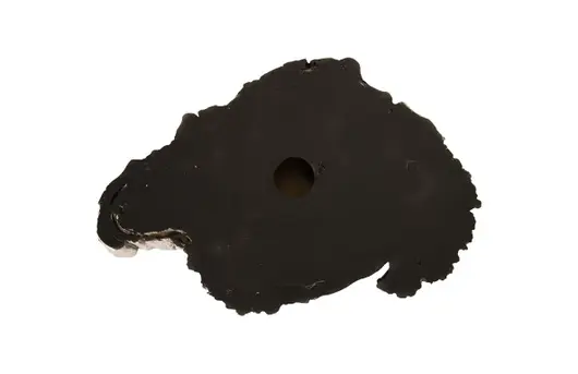 Burled Root Wall Art, Smallall, Silver Leaf by PHILLIPS COLLECTION