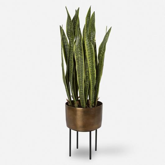 Fasita Brass Planter 2 Cartons by Uttermost