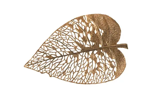 Birch Leaf Wall Art, Copper, MD by PHILLIPS COLLECTION