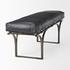 Jessie 55L x 16W Black Leather Seat W/Gold Metal Base Accent Bench by Mercana