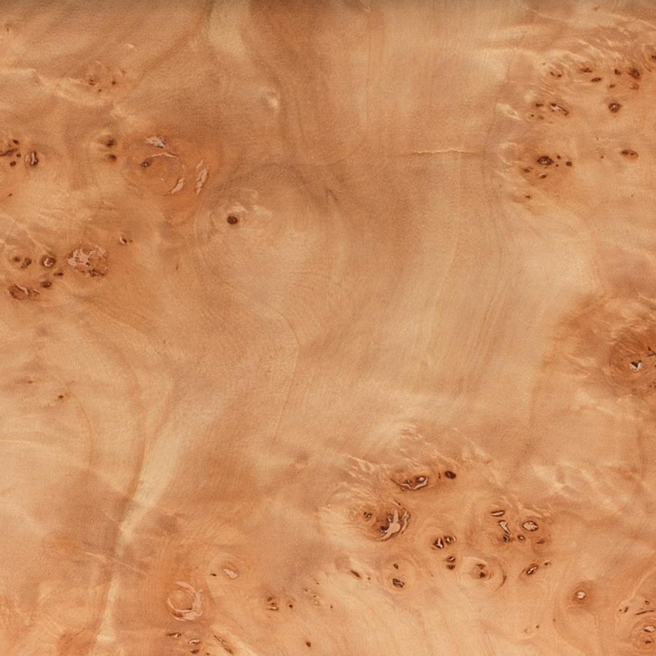 Parallel Burl Wood Table Lamp with Linen Shade by Jamie Young