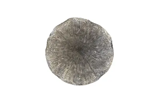 Lotus Wall Art, Silver/Black, Large by PHILLIPS COLLECTION