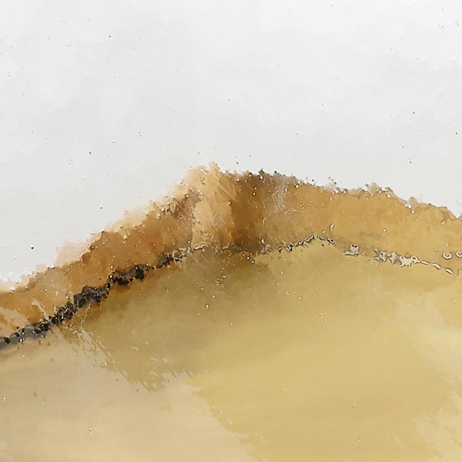 Rhine Burl Wood and Glass Hurricane  by Jamie Young