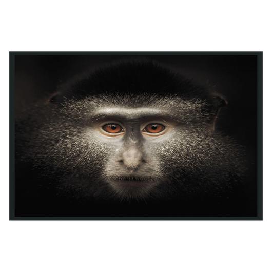 Monkey Photography 48x72 by Classic Home