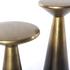 Cameron Accent Tables, Set Of 2-Brass by FOUR HANDS