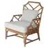 Kara Rattan Accent Arm Chair In Canary Brown  by New Pacific Direct
