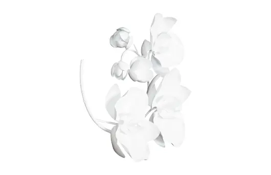 Orchid Sprig Wall Art, Smallall, Metal, White by PHILLIPS COLLECTION