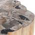 Norwest Petrified Wood Coffee Table Natural by Classic Home