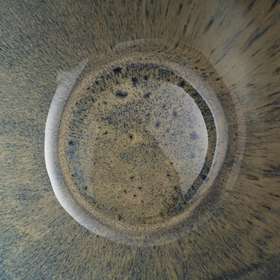 Small Android Bowl in White and Oyster by Cyan Design