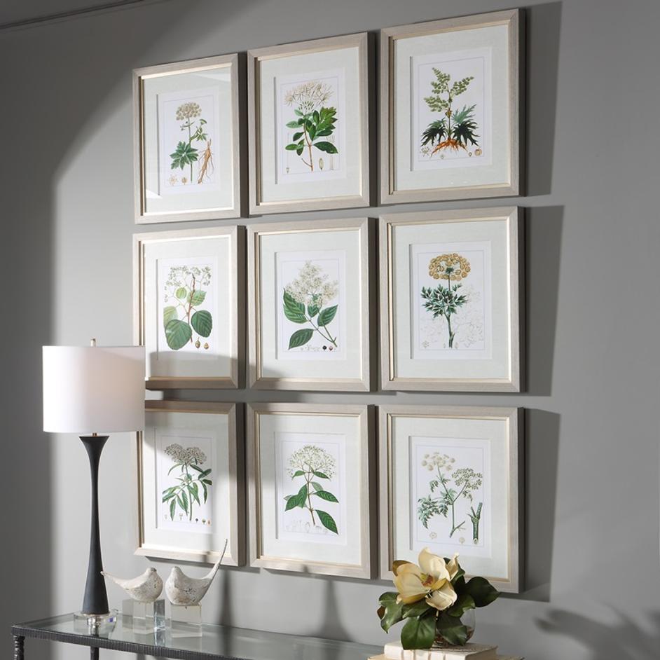 Antique Botanicals Framed Prints, S/9 by Uttermost