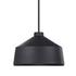 Holgate MB 1 Light Pendant by Uttermost