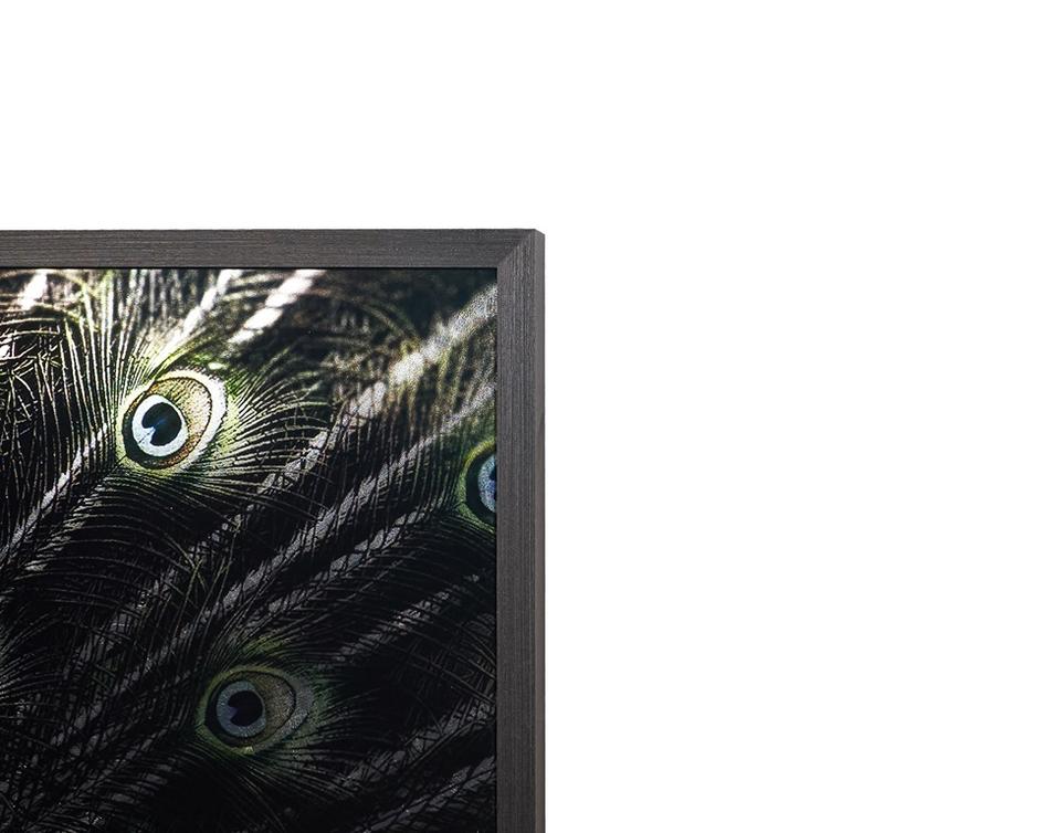 Brilliant Plumage - 72" X 48" - Charcoal Frame by Sunpan
