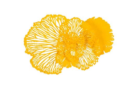 Flower Wall Art, Dandelion, MD by PHILLIPS COLLECTION