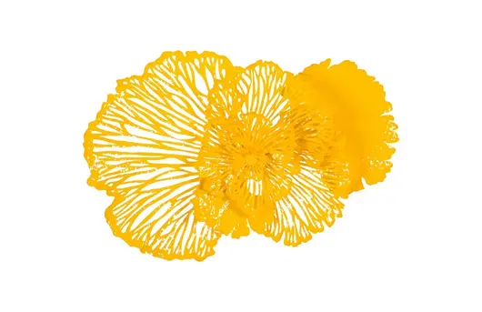 Flower Wall Art, Dandelion, MD by PHILLIPS COLLECTION