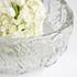 Clearly Thorough Bowl in Clear by Cyan Design