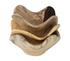 Tamarine Wood Wall Decor by Uttermost