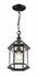Annex 1 Light Outdoor Chain in Black Finish by Z-Lite