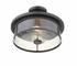 Savannah 2 Light Semi Flush Mount in Bronze Finish by Z-Lite