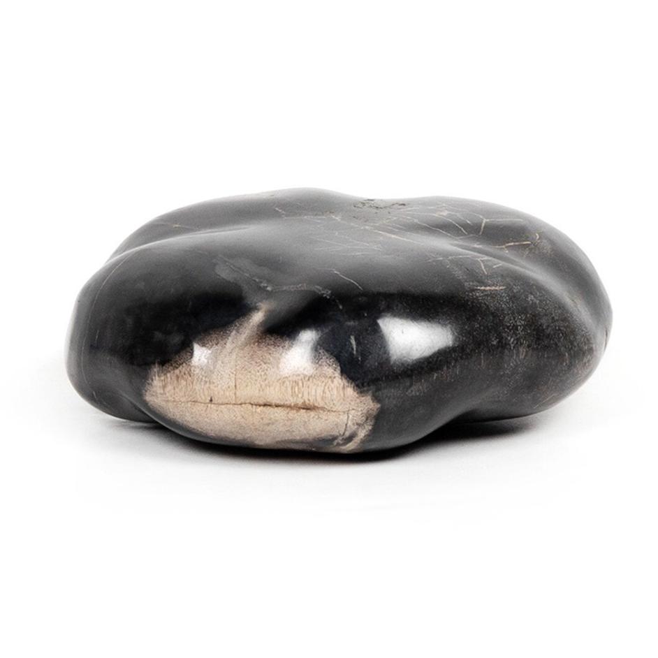 Petrified Wood Organic Sculpture, Set Of 3 - Dark Petrified Wood by Four Hands