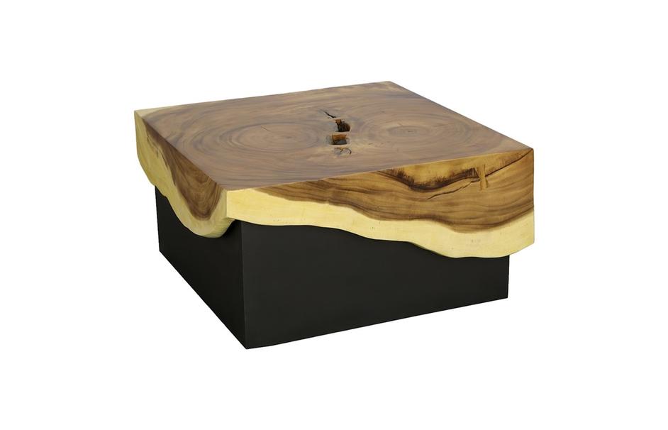 Overflow Coffee Table, Natural, Iron by Phillips Collection