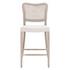 Cela Counter Stool by Essentials For Living