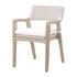 Lucia Outdoor Arm Chair by Essentials For Living