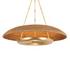 OAKLYN Pendant by Hudson Valley