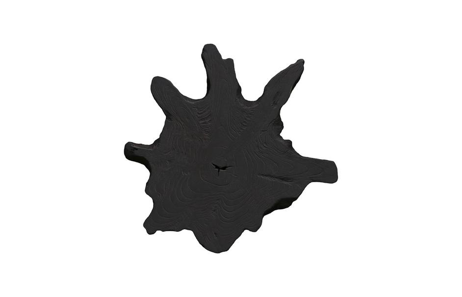 Freeform Teak Wall Slice, Medium, Black by Phillips Collection