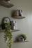 Floating Wall Shelf, Gray Stone, Smallall by Phillips Collection
